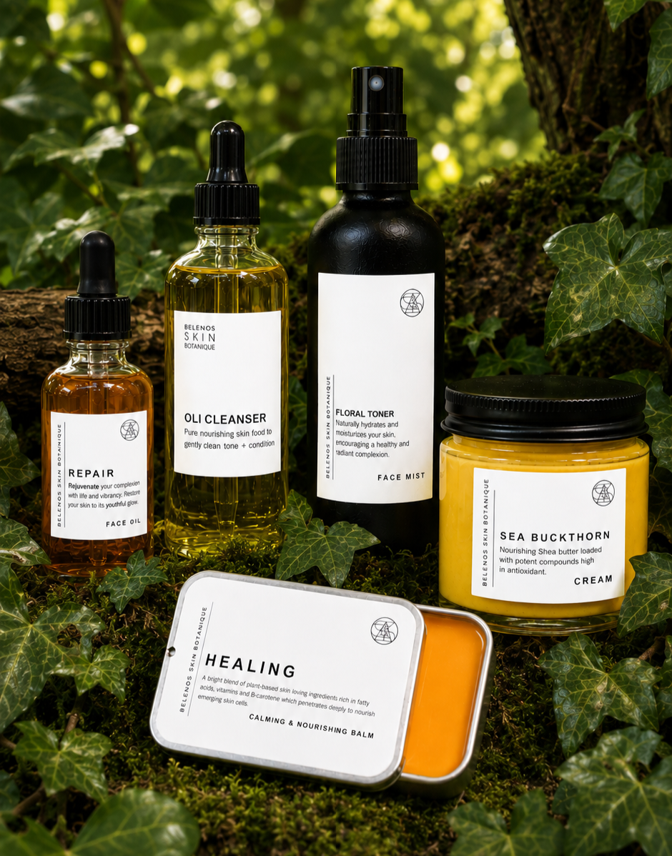 FACE PROTOCOL BOX